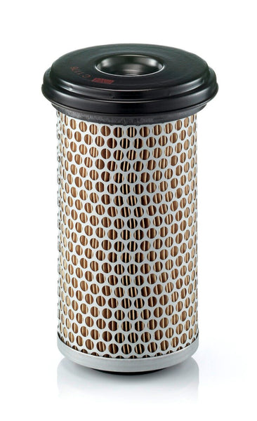 Mann Filter C 1176